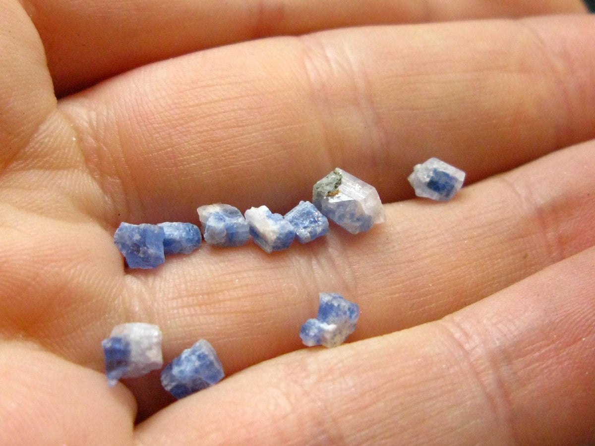Fine Lot of 10 Carletonite Crystals From Mt. St. Hilaire Canada - 0.53 Grams