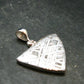 Muonionalusta Meteorite Pendant from Sweden - 1.3" - 4.33 Grams
