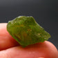 Rare 18.85 Carat Gem Peridot Olivine Crystal from Arizona, USA - 0.8"