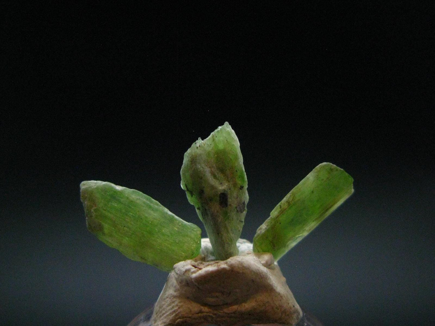 Rare Neon Tremolite Lot of 25 Crystals from Tanzania - 133.25 Carats