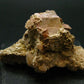 Rare Herderite on Feldspar Cluster from Brazil - 144.0 Grams - 3.6"