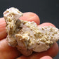 Rare Herderite Cluster from Brazil - 1.6"