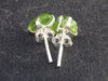 Cute Small Natural Peridot (Olivine) Stud Earrings In Sterling Silver from Pakistan - 0.7"