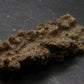Large Fulgurite Lightning Rock From Sahara Desert - 2.2"