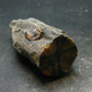Andalusite Chiastolite Crystal From China - 2.8" - 96.0 Grams