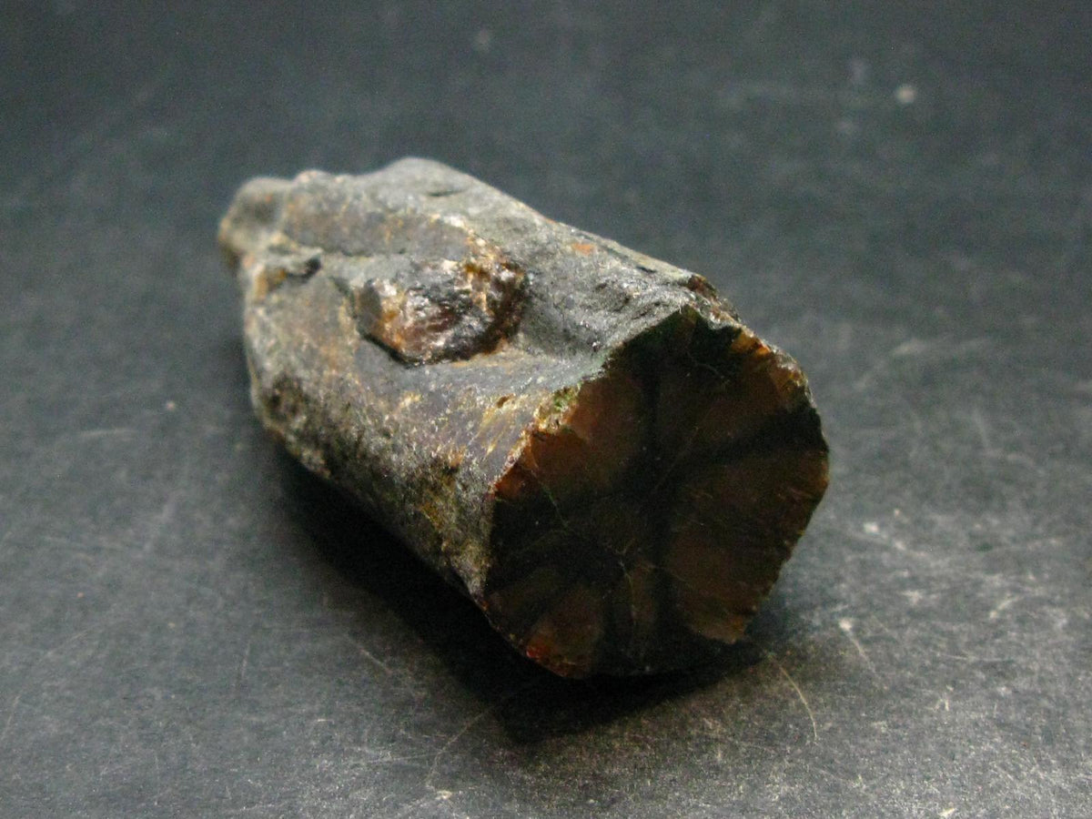 Andalusite Chiastolite Crystal From China - 2.8" - 96.0 Grams