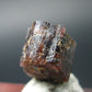 Rare Painite Crystal From Myanmar - 3.11 Carats