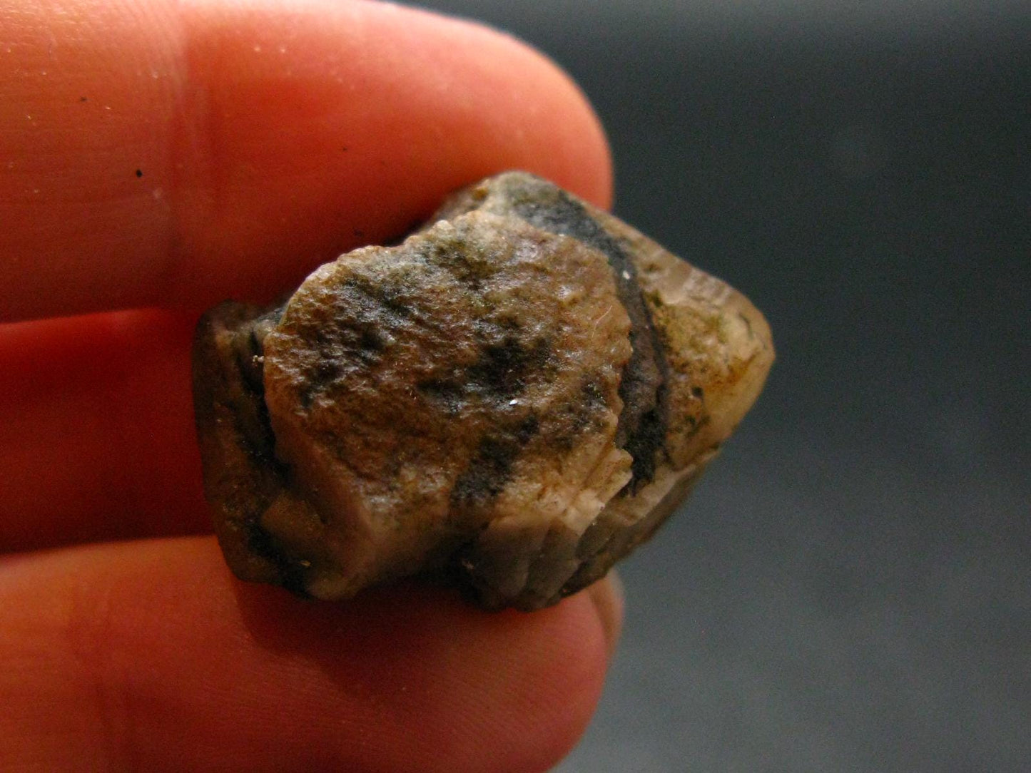 Phenakite Phenacite Crystal From Brazil - 7.49 Grams - 1.0"
