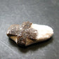 A Perfect Staurolite Crystal from Russia - 1.2" - 7.03 Grams