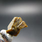 Rare Monazite Crystal From Brazil - 0.4" - 0.73 Grams