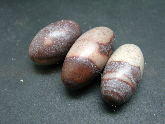 Lot of 3 Natural Elliptically Shaped Shiva Lingam Stones from India