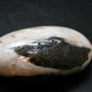 Natrolite Tumbled Stone from Indonesia - 2.0" - 33.79 Grams