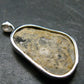 Trilobite Silver Pendant from USA - 1.3" - 3.83 Grams