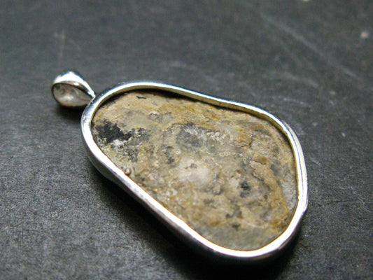 Trilobite Silver Pendant from USA - 1.3" - 3.83 Grams