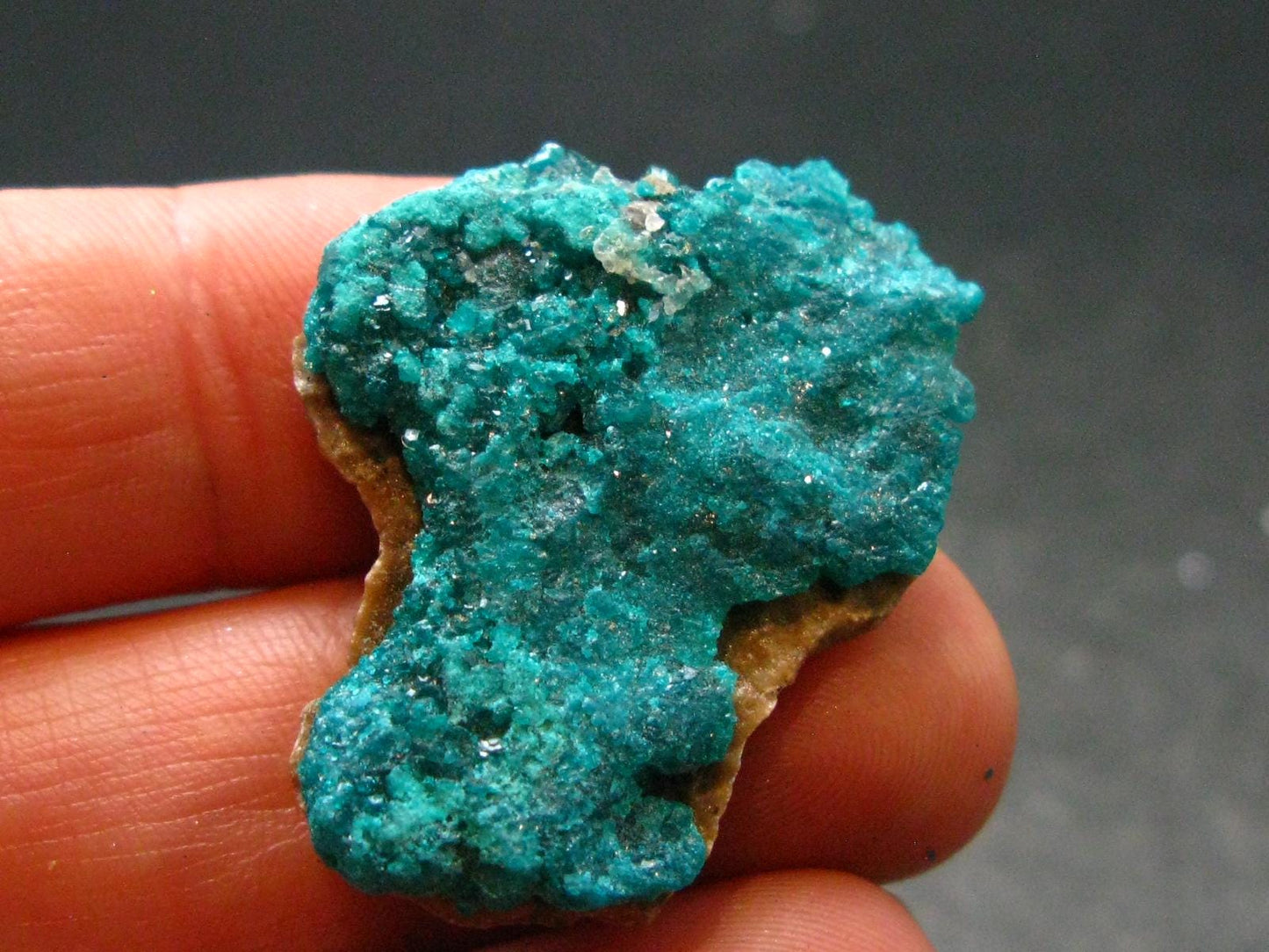 Beautiful Dioptase Cluster from Kazakhstan - 1.1" - 5.24 Grams