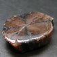 Andalusite Chiastolite Crystal From China - 1.4" - 22.12 Grams