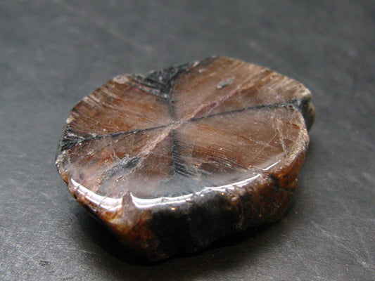 Andalusite Chiastolite Crystal From China - 1.4" - 22.12 Grams