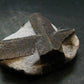 A Perfect Staurolite Crystal from Russia - 3.1" - 207.66 Grams