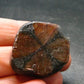 Andalusite Chiastolite Crystal From China - 1.1" - 18.39 Grams