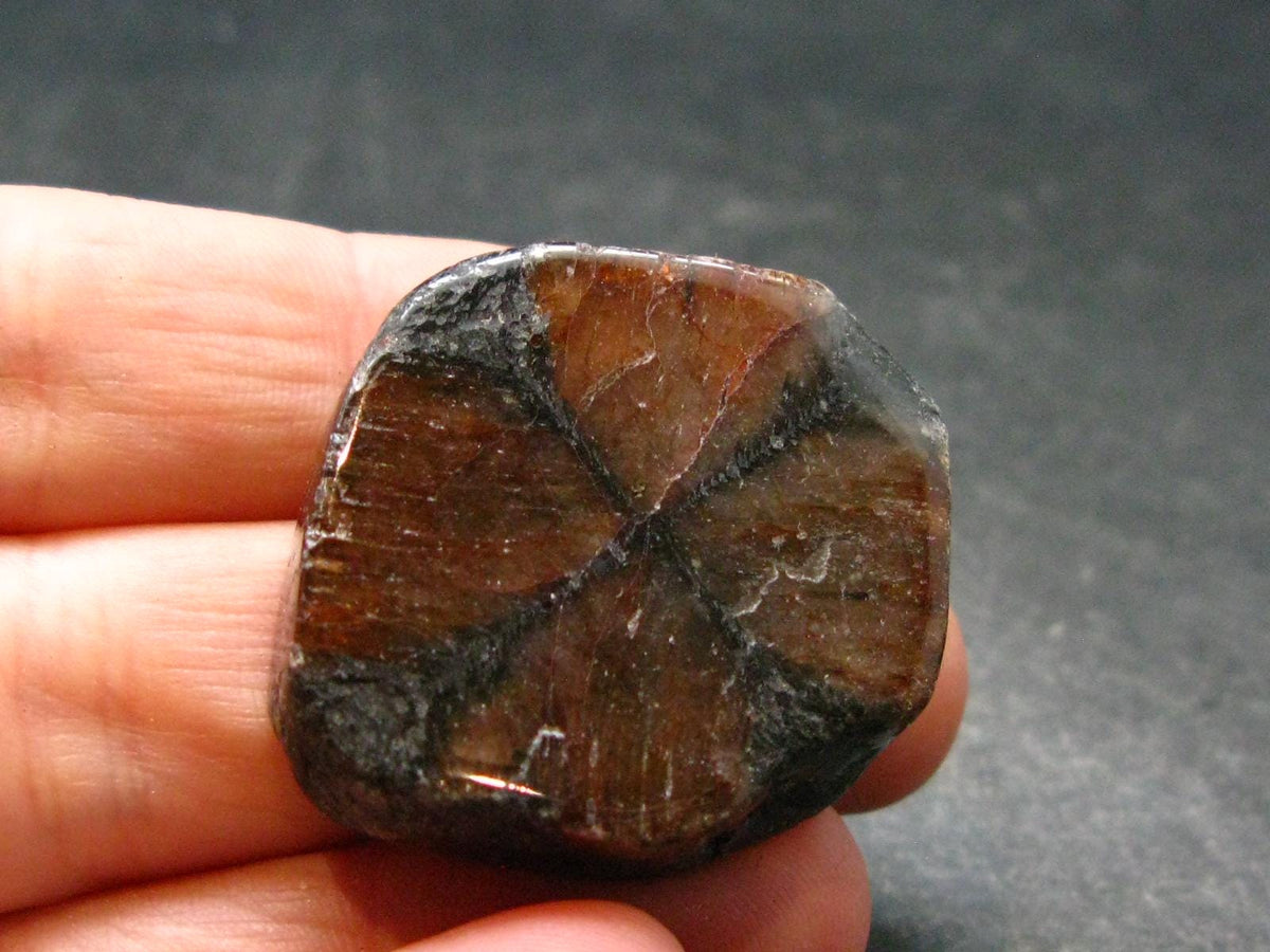 Andalusite Chiastolite Crystal From China - 1.1" - 18.39 Grams