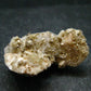 Rare Herderite on Feldspar Cluster from Brazil - 4.90 Grams - 1.1"