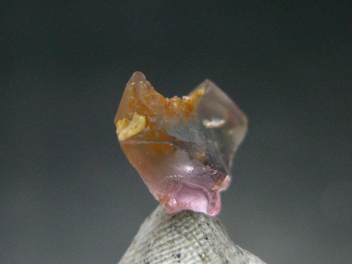 Reserved Rare Poudretteite Crystal From Myanmar - 0.98 Carats