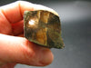 Andalusite Chiastolite Crystal From China - 2.4" - 85.51 Grams