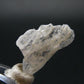 Phenakite Phenacite Crystal from Nigeria - 6.49 Carats