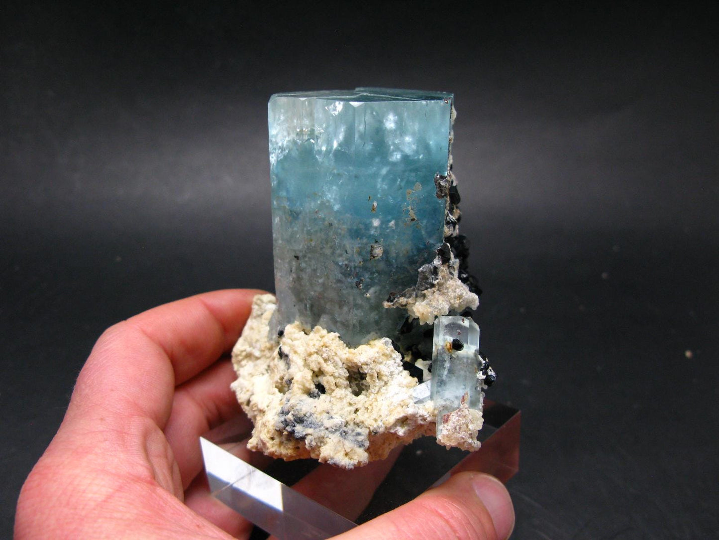 Big Aquamarine & Black Tourmaline Crystal From Erongo Namibia - 3.3"