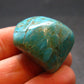Genuine Tumbled Turquoise from Arizona, USA - 1.0" - 13.12 Grams