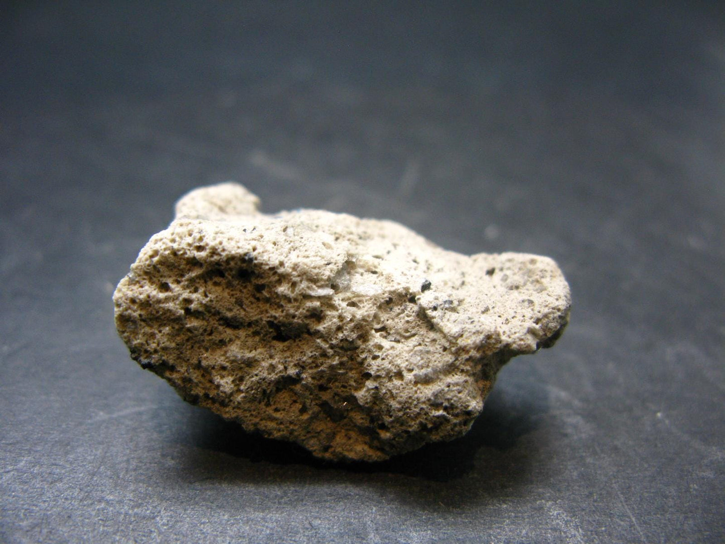 Hauyne Cluster From Germany - 1.0" - 3.3 Grams