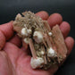 Serandite and Analcime Fine Crystal From Canada - 3.3"