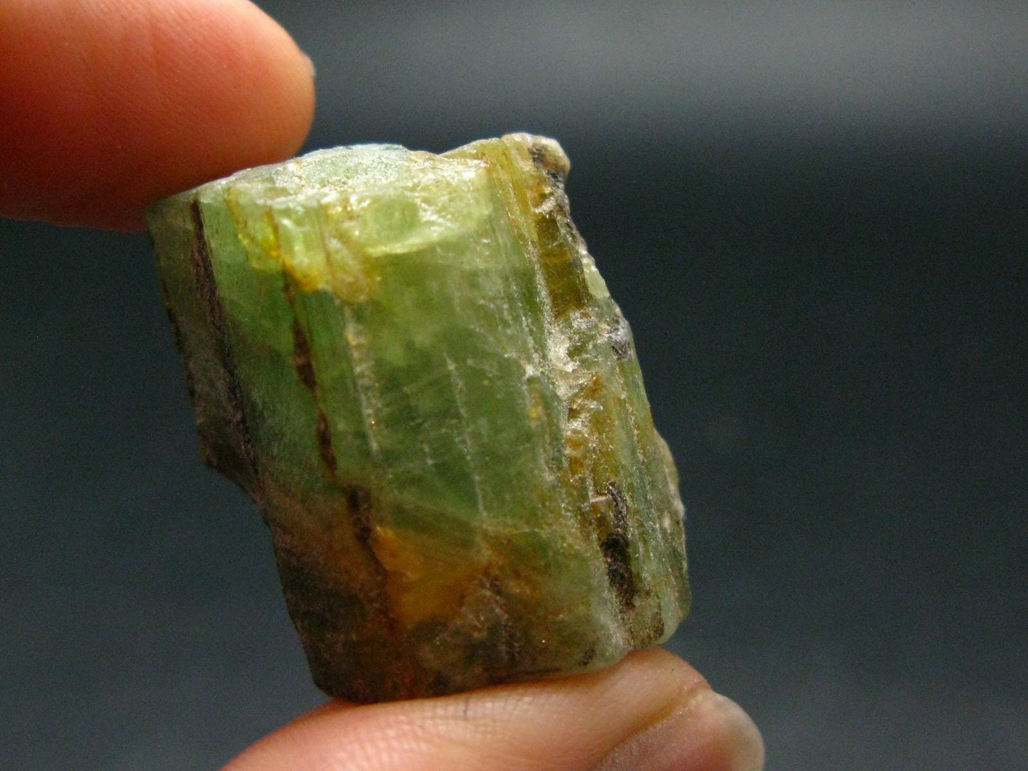 Emerald Beryl Crystal From Russia - 1.1" - 19.71 Grams