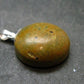 Rare SS Pendant Atlantasite Stichtite + Serpentine from Australia - 1.4"