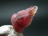 Rare Large Pezzottaite Pink Beryl from Madagascar - 3.00 Carats
