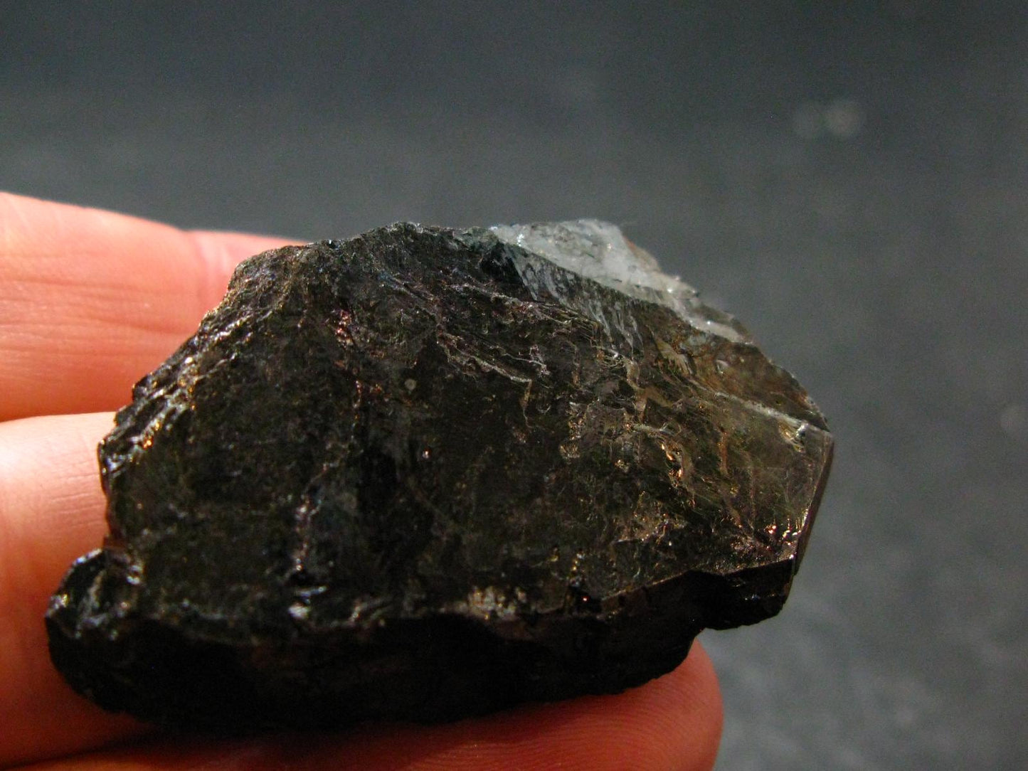 Natural Hematite "Iron Rose" from Brazil - 1.6" - 19.36 Grams