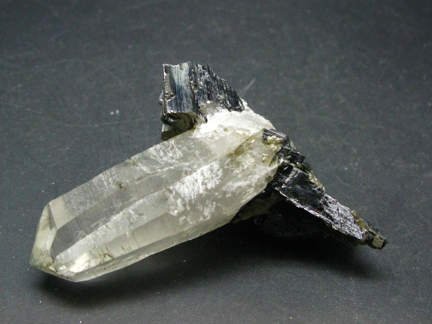 Perfect Arsenopyrite Wolframite on Quartz Cluster from Portugal - 2.7"