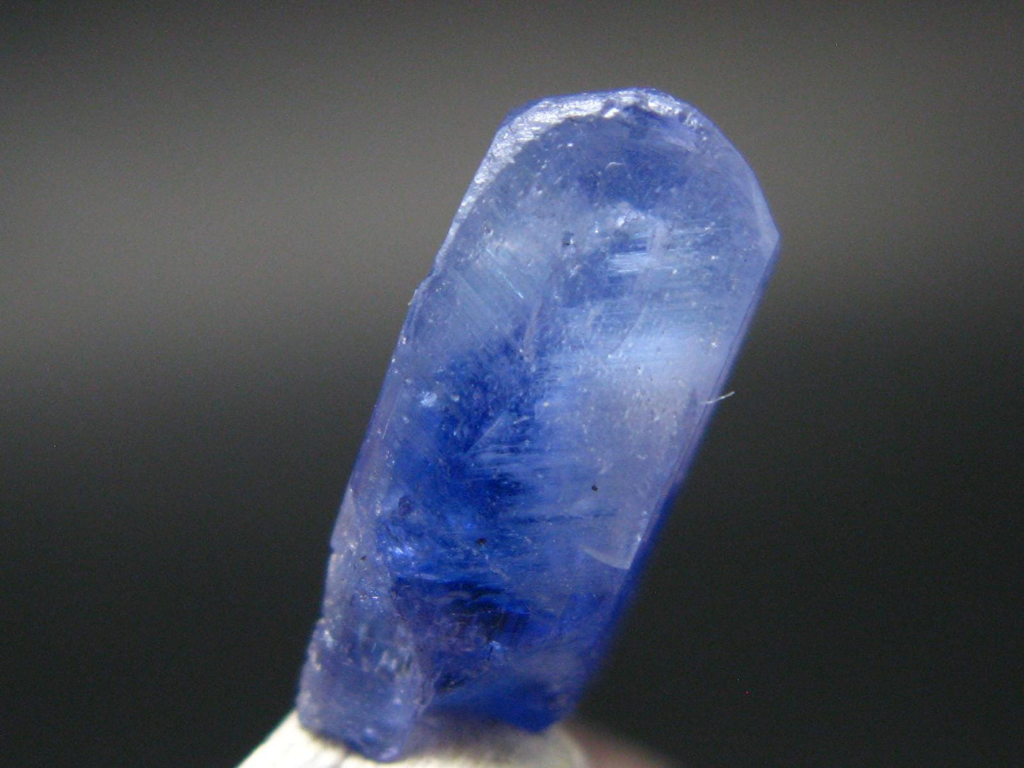 Fine Gem Tanzanite Zoisite Crystal From Tanzania - 8.11 Carats - 0.7"