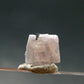 Fine Rare Carletonite Crystal From Mt. St. Hilaire Canada - 0.3" - 0.32 Grams