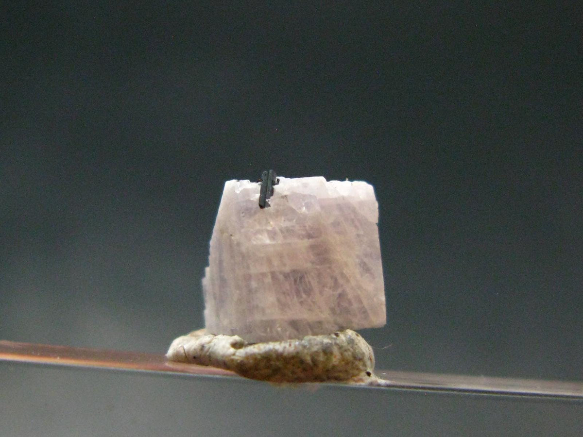 Fine Rare Carletonite Crystal From Mt. St. Hilaire Canada - 0.3" - 0.32 Grams
