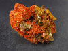 Rare Orange Crocoite Cluster From Australia - 1.9"- 45.0 Grams