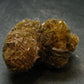 Amazing Fluorescent Gypsum Cluster from Canada - 1.7" - 29.32 Grams