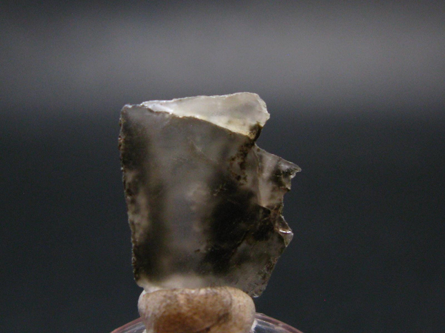 Phenakite Phenacite Crystal Slice from Russia - 6.97 Carats - 0.7"