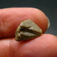 Rare Monazite Crystal From Brazil - 0.5" - 0.96 Grams