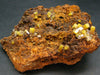 Wulfenite Cluster From Arizona - 3.6"