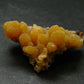 Nice Large Yellow Mimetite Cluster from Mexico - 1.7"