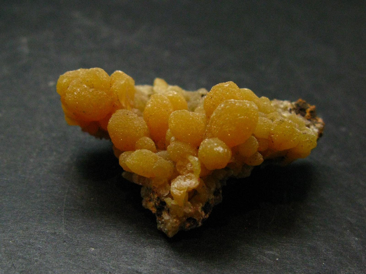 Nice Large Yellow Mimetite Cluster from Mexico - 1.7"