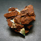 Vivianite Crystal From Bolivia - 2.5"