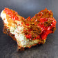 Rare Orange Crocoite Cluster From Australia - 3.4" - 144 Grams