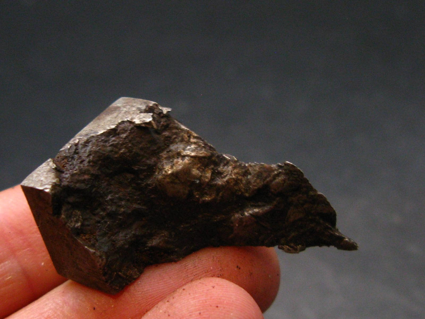 Large Gibeon Meteorite From Namibia - 1.2" - 19.7 Grams